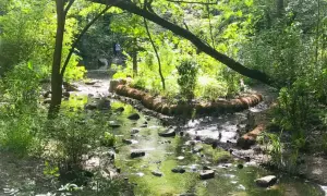 Central Park atrakcje: odkryj ukryte skarby i popularne miejsca