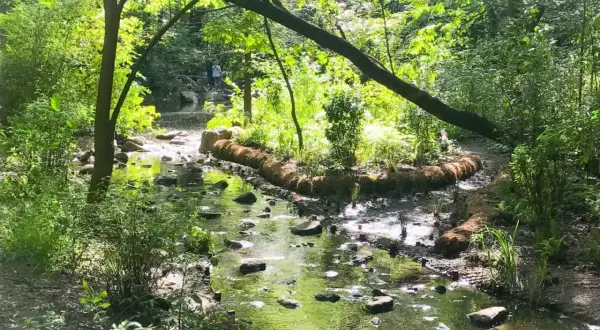Central Park atrakcje: odkryj ukryte skarby i popularne miejsca