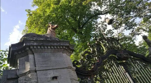 Pałac w Stolcu Zachodniopomorskim: Historia i tajemnice tej perły architektury